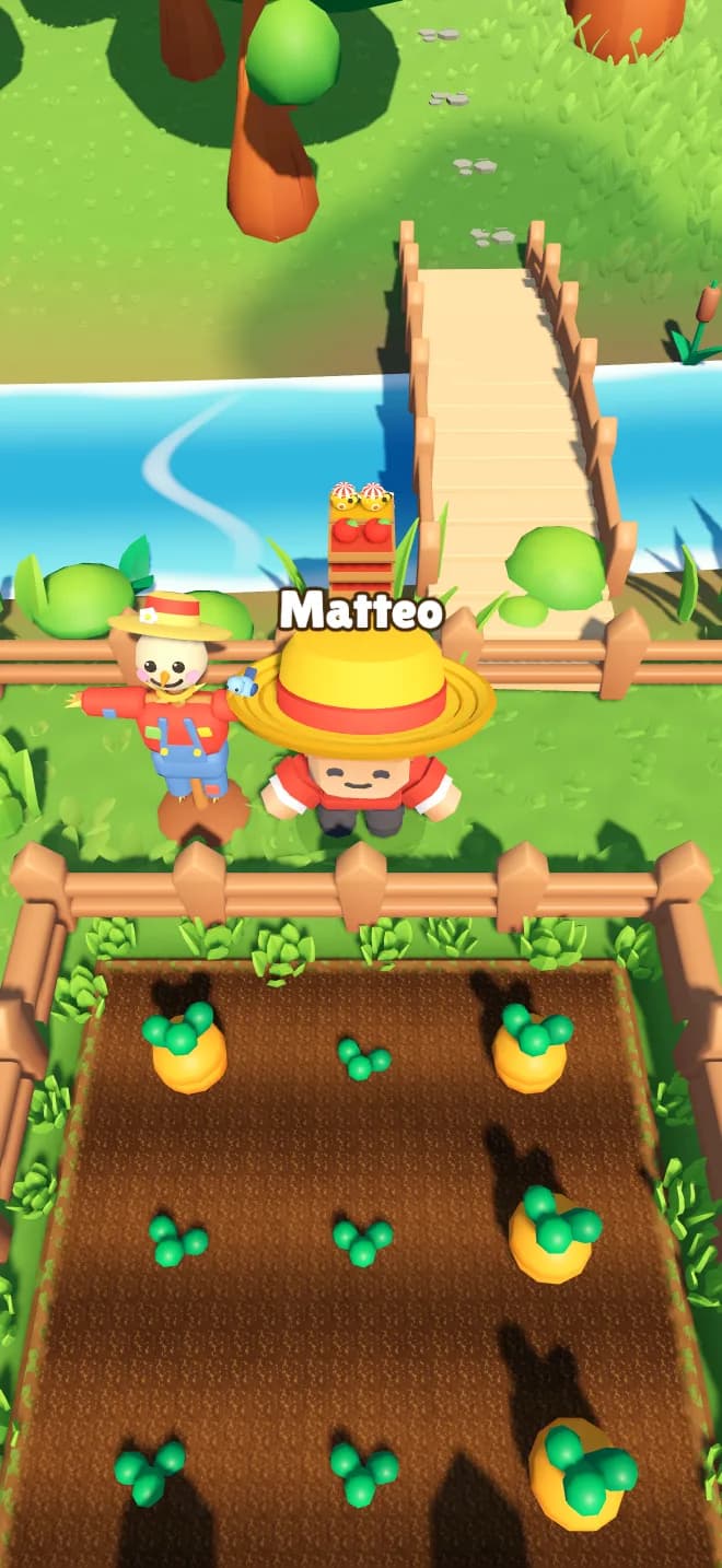 Matteo davanti al suo campo di carote.